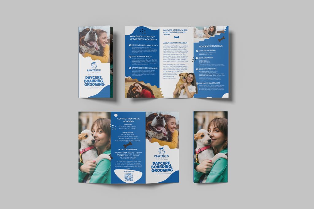 Daycare Boarding Grooming